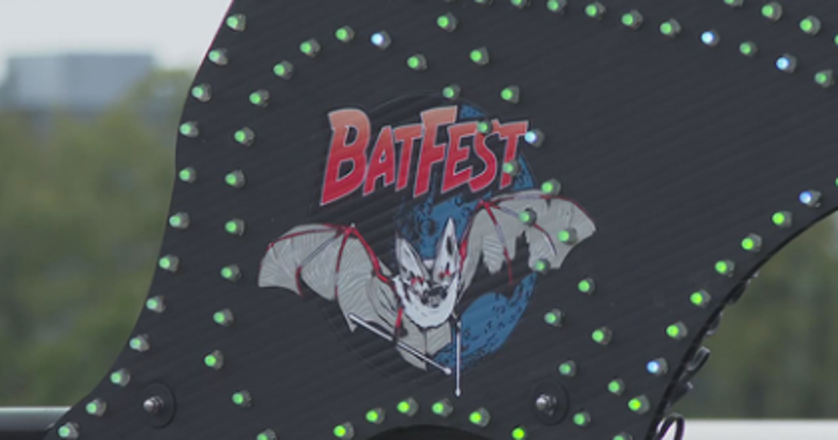 Bat Fest